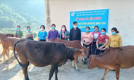 Lễ trao bò mở rộng mô hình tổ hợp tác chăn nuôi bò sinh sản tại 2 bản Pa, Cha lung xã Tam Thanh, huyện Quan Sơn
